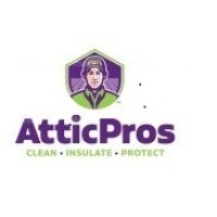 Attic Pros