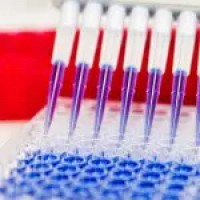scBiomarkers UTechS - Institut Pasteur