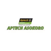 Aptech Asokoro