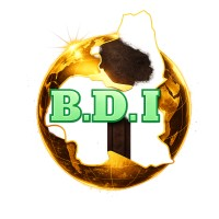 Bauchi State Development Initiative (BDI)